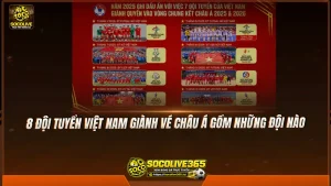 8 đội tuyển Việt Nam giành vé châu Á gồm những đội nào
