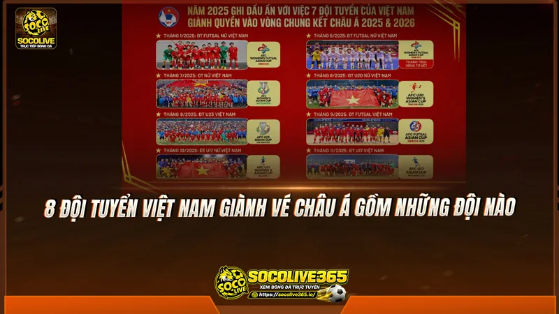8 đội tuyển Việt Nam giành vé châu Á gồm những đội nào